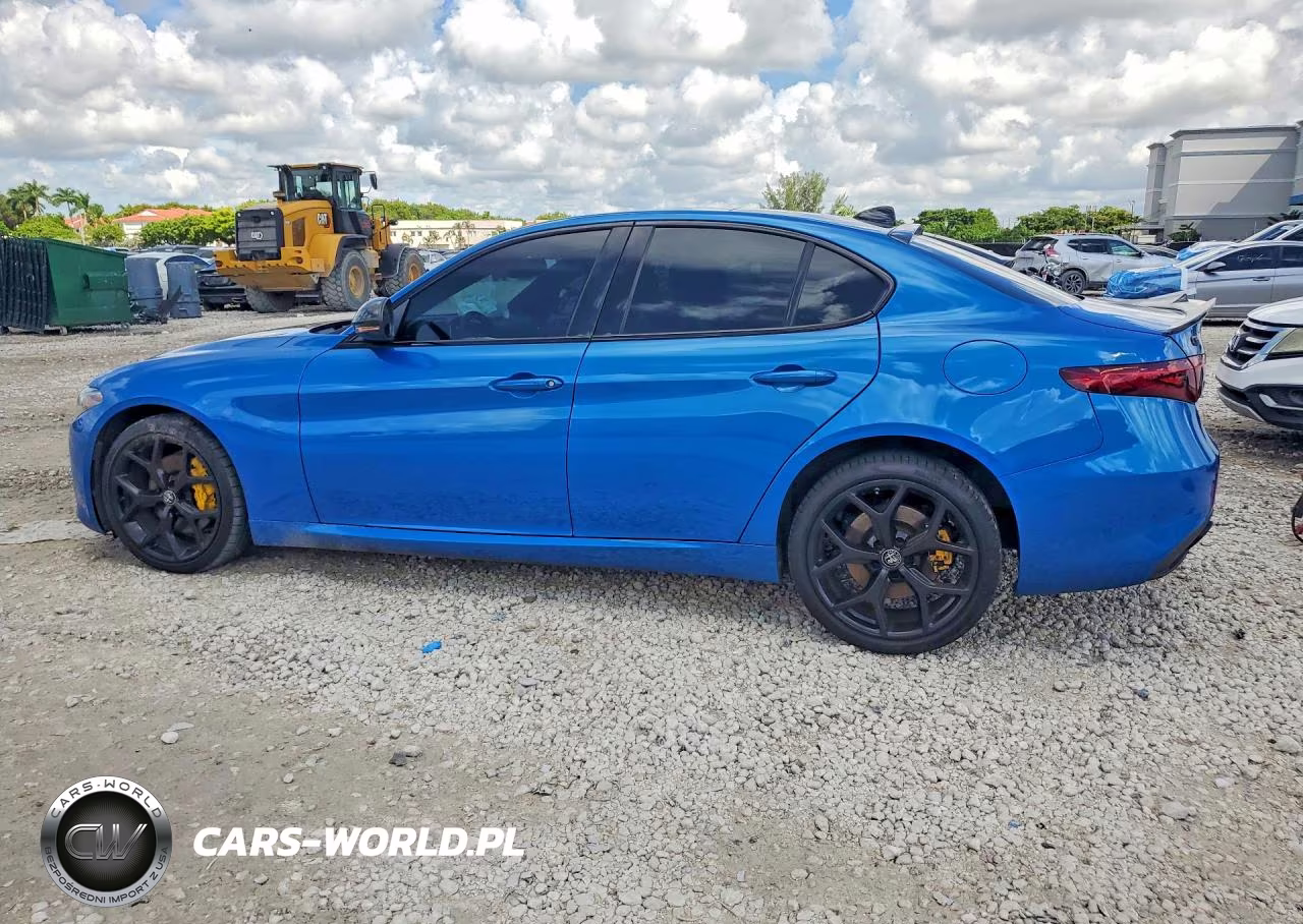 2019 Alfa Romeo Giulia VIN:ZARFANAN9K7623390 - 2