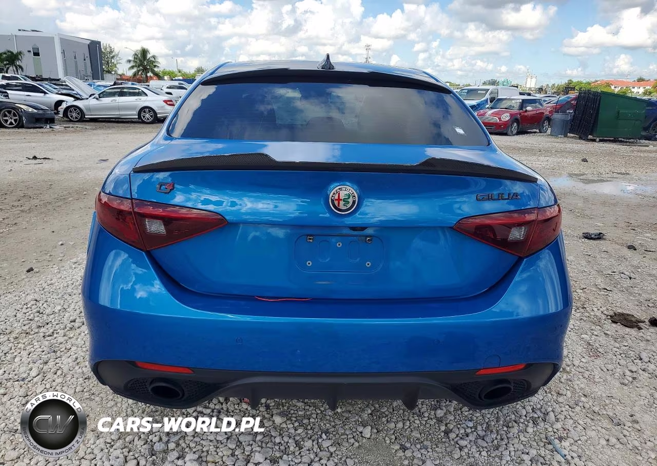 2019 Alfa Romeo Giulia VIN:ZARFANAN9K7623390 - 6