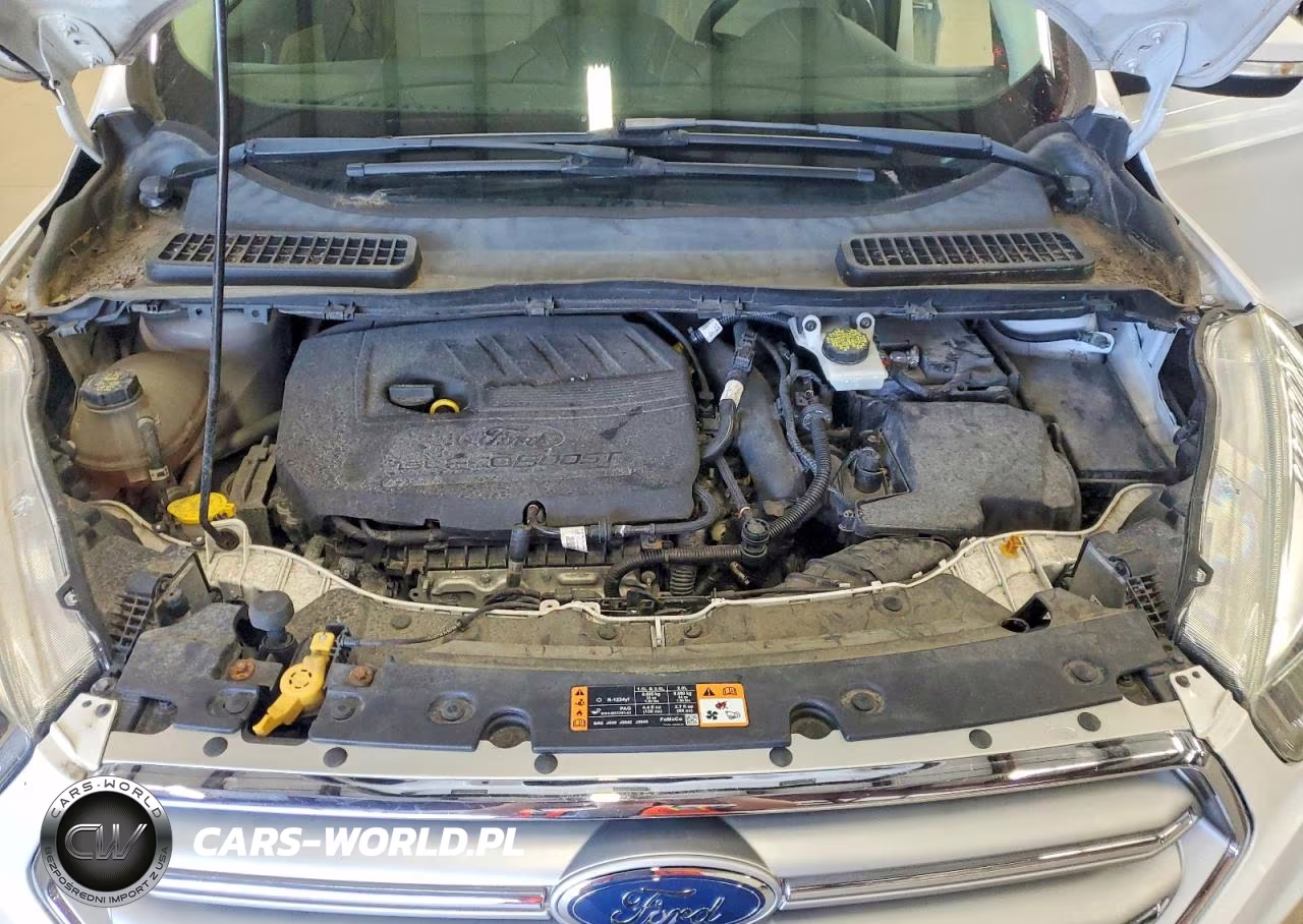 2017 Ford Escape Titanium VIN:1FMCU9JD8HUA35439 - 12