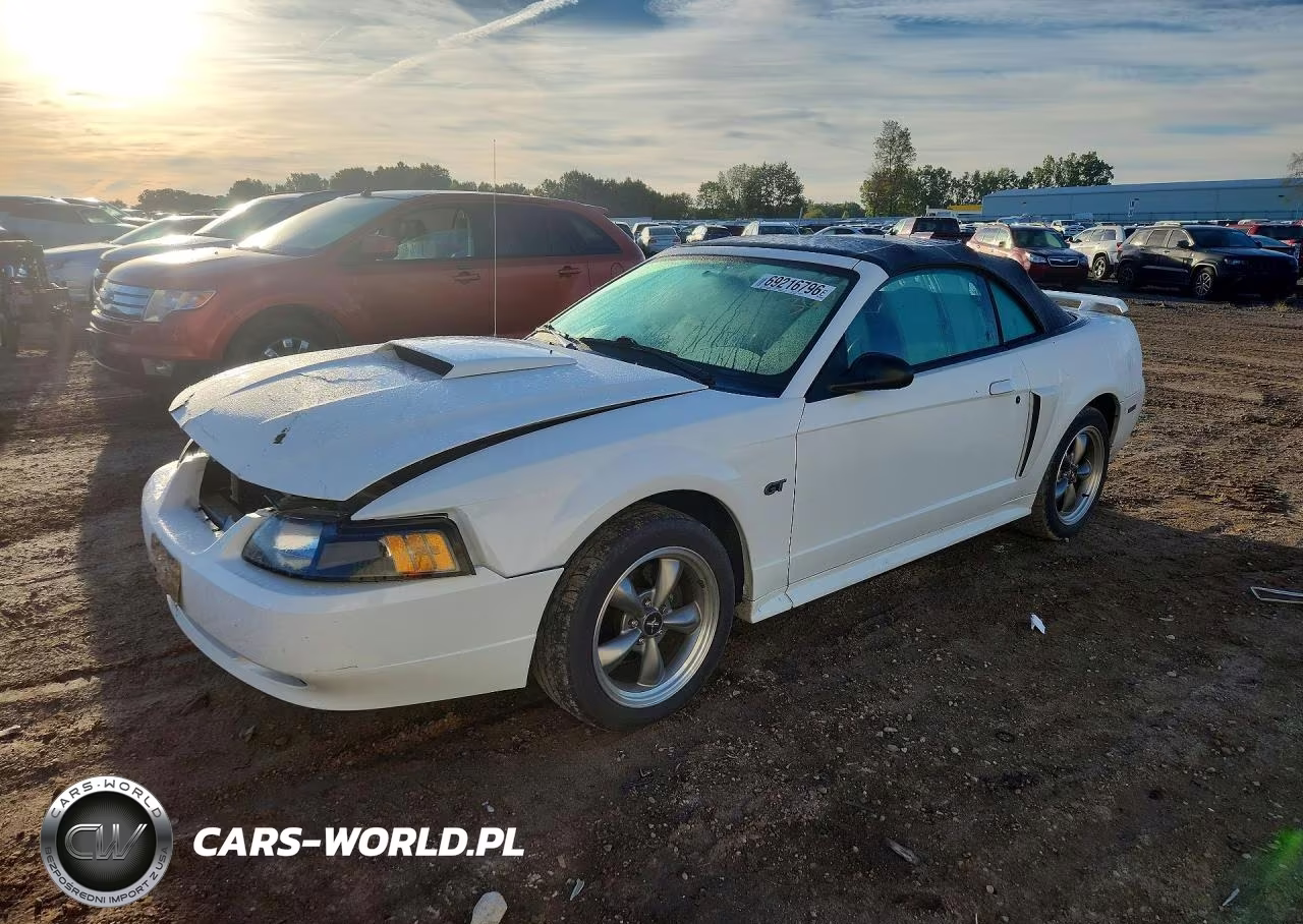 2003 Ford Mustang Gt VIN:1FAFP45X33F452258 - 1
