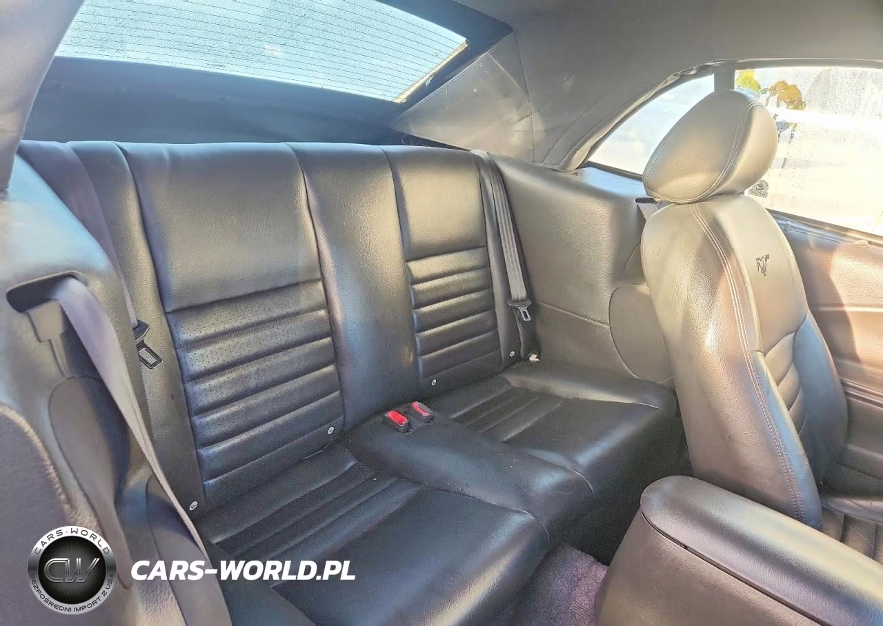 2003 Ford Mustang Gt VIN:1FAFP45X33F452258 - 10