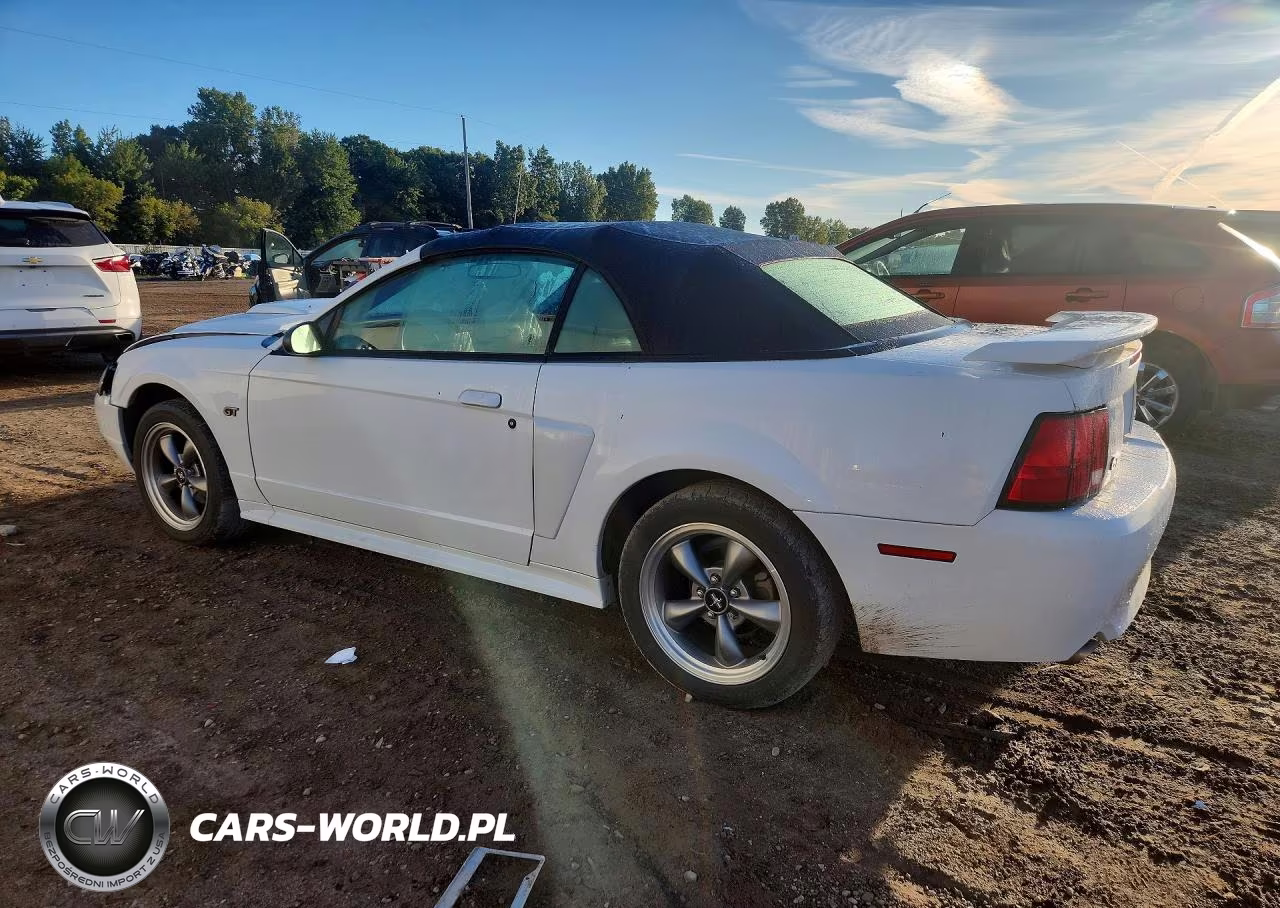 2003 Ford Mustang Gt VIN:1FAFP45X33F452258 - 2