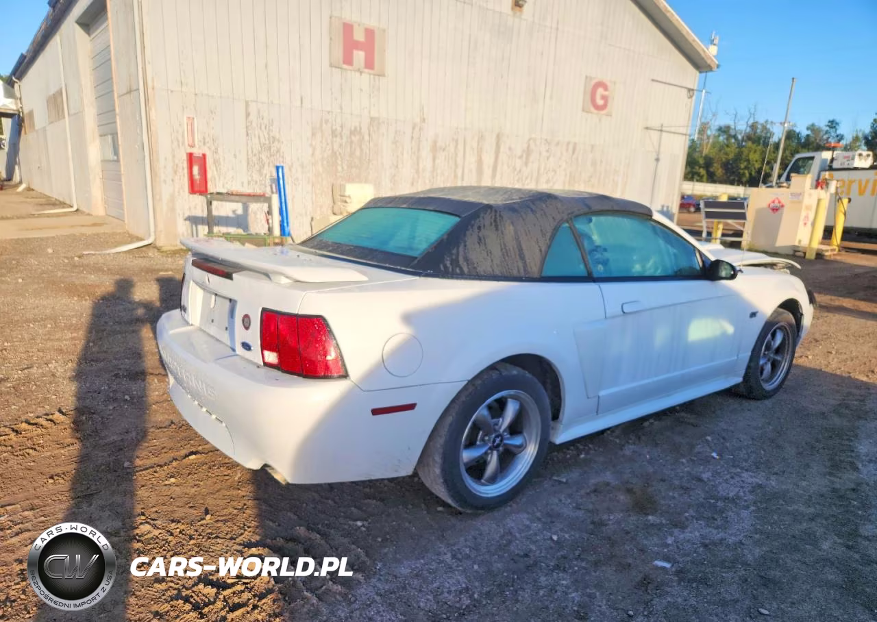 2003 Ford Mustang Gt VIN:1FAFP45X33F452258 - 3
