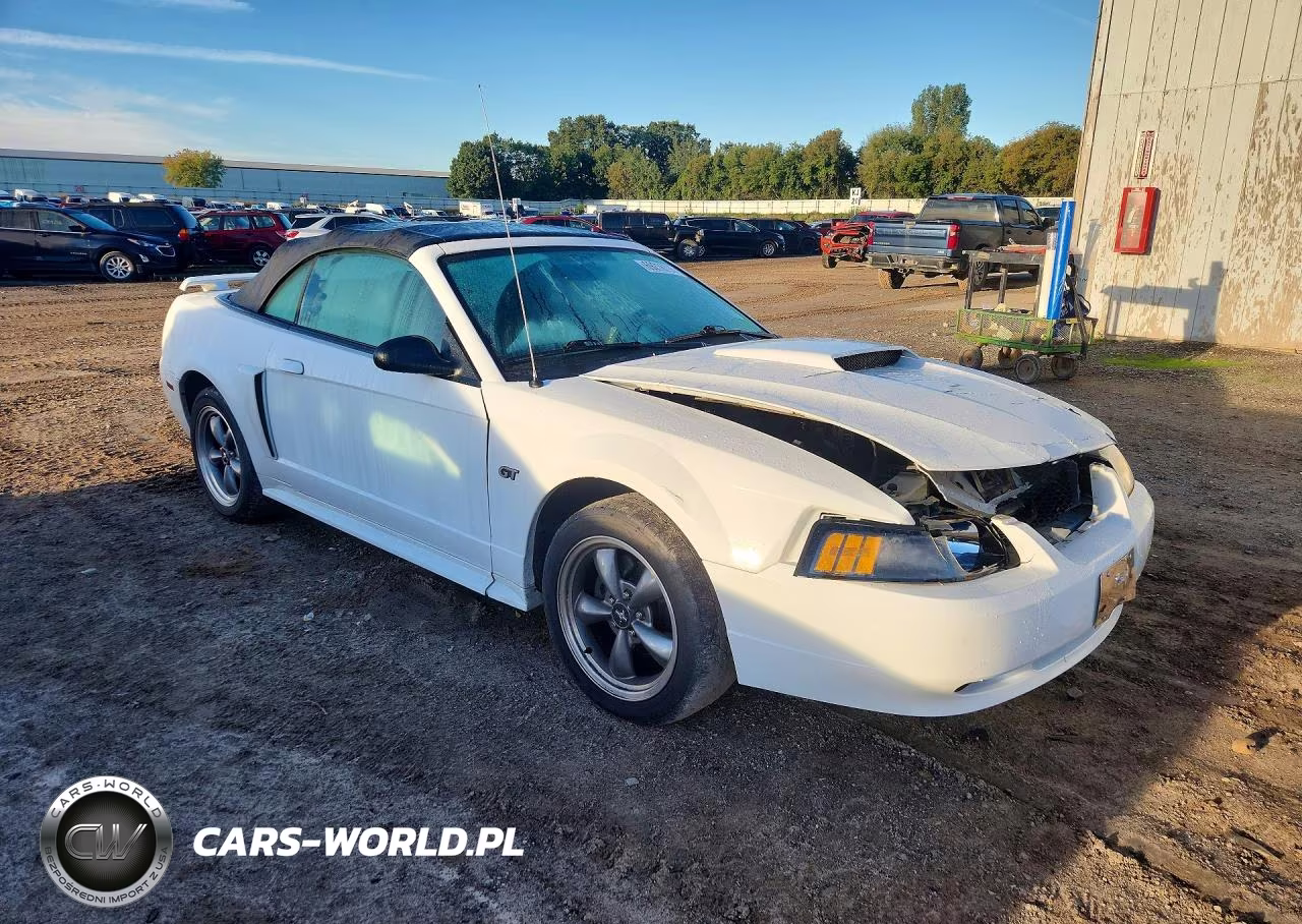 2003 Ford Mustang Gt VIN:1FAFP45X33F452258 - 4