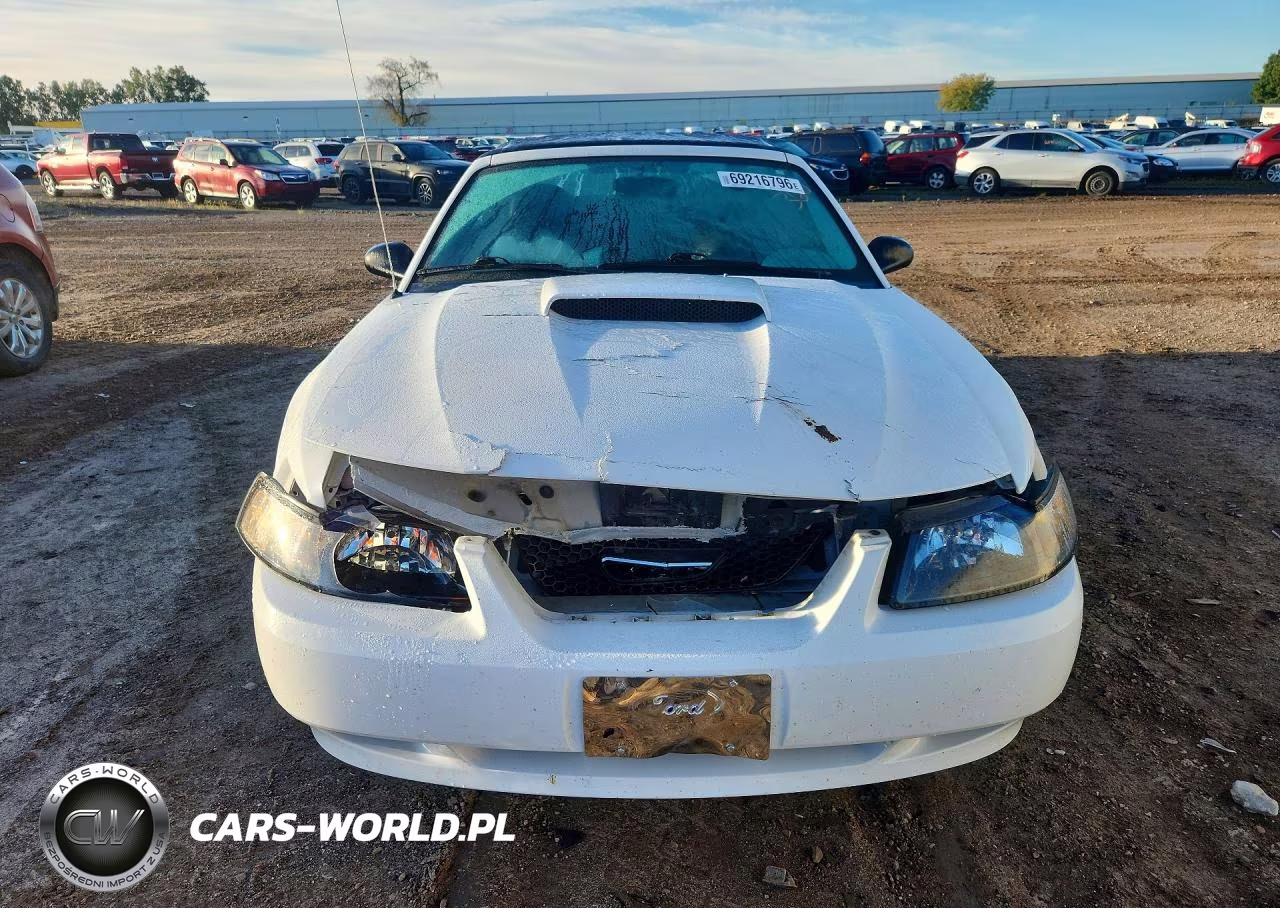 2003 Ford Mustang Gt VIN:1FAFP45X33F452258 - 5