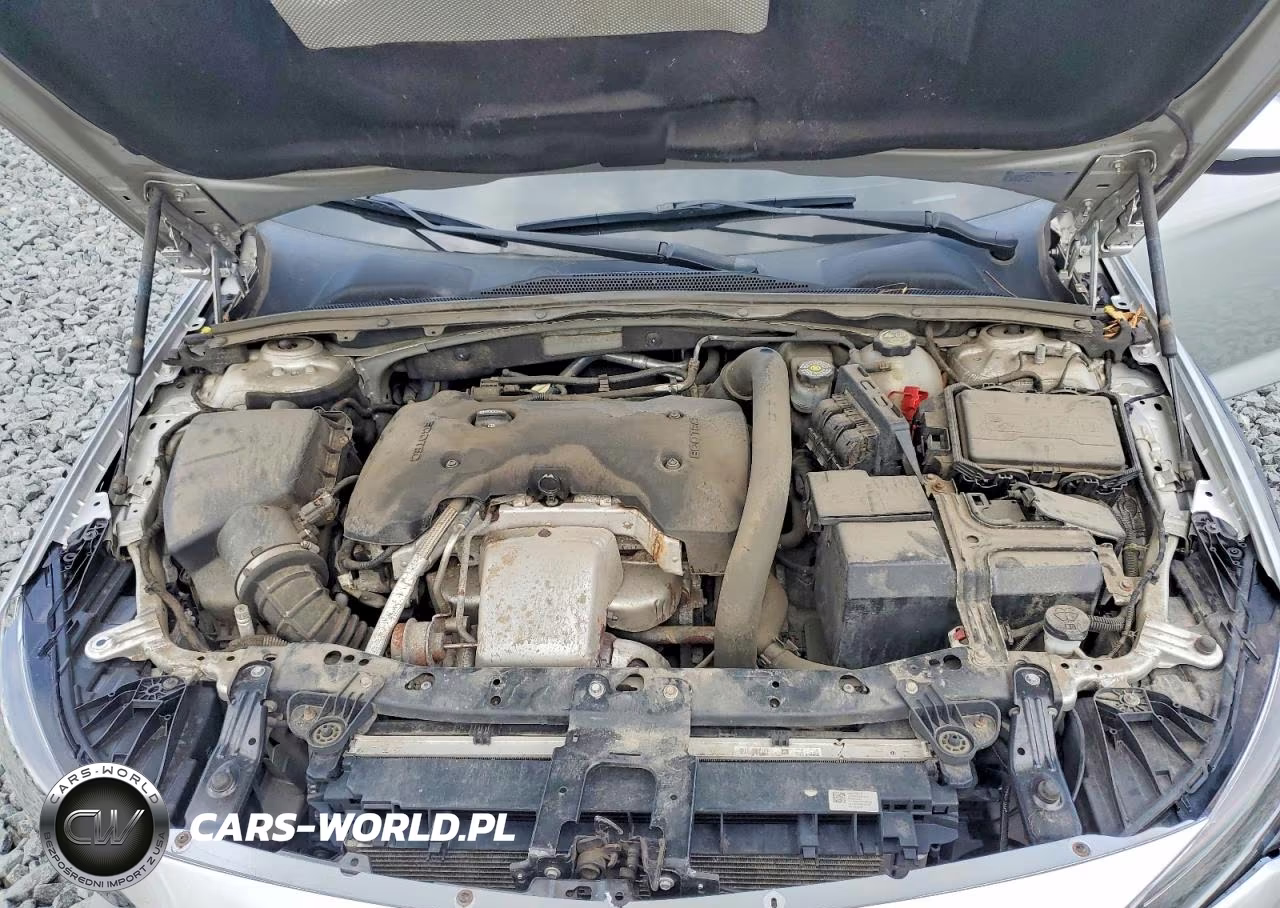2019 Buick Regal Tourx Essence VIN:W04GV8SX0K1033399 - 12