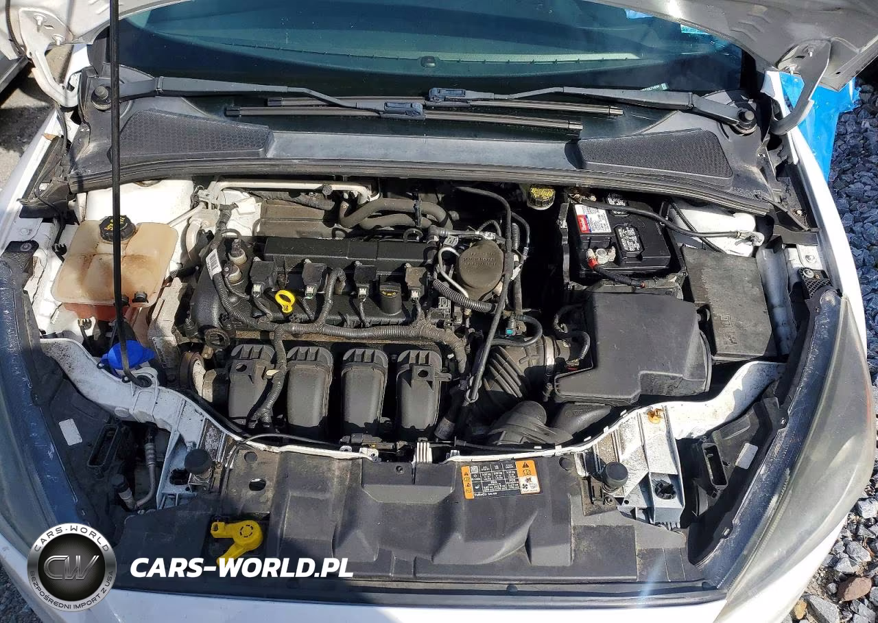2016 Ford Focus Se VIN:1FADP3F27GL214294 - 11