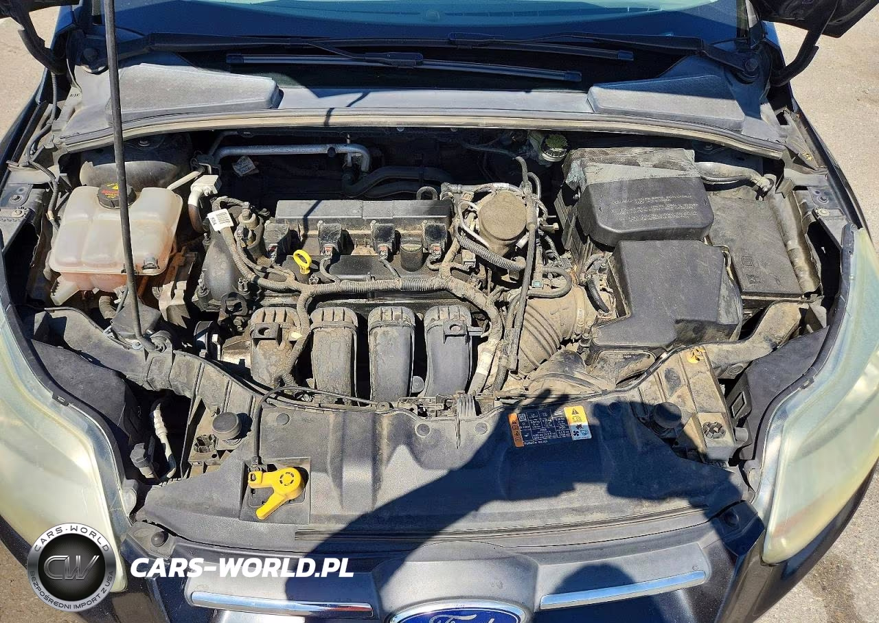2014 Ford Focus Se VIN:1FADP3F20EL391265 - 11