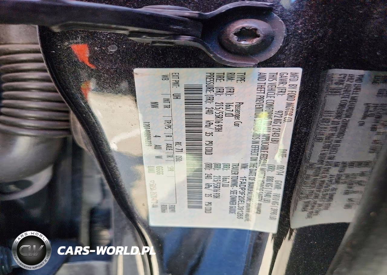 2014 Ford Focus Se VIN:1FADP3F20EL391265 - 12