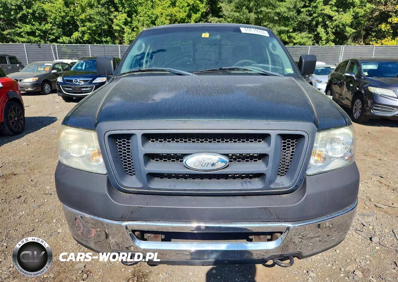 2006 Ford F150 VIN:1FTRF14WX6NB03920 - 5
