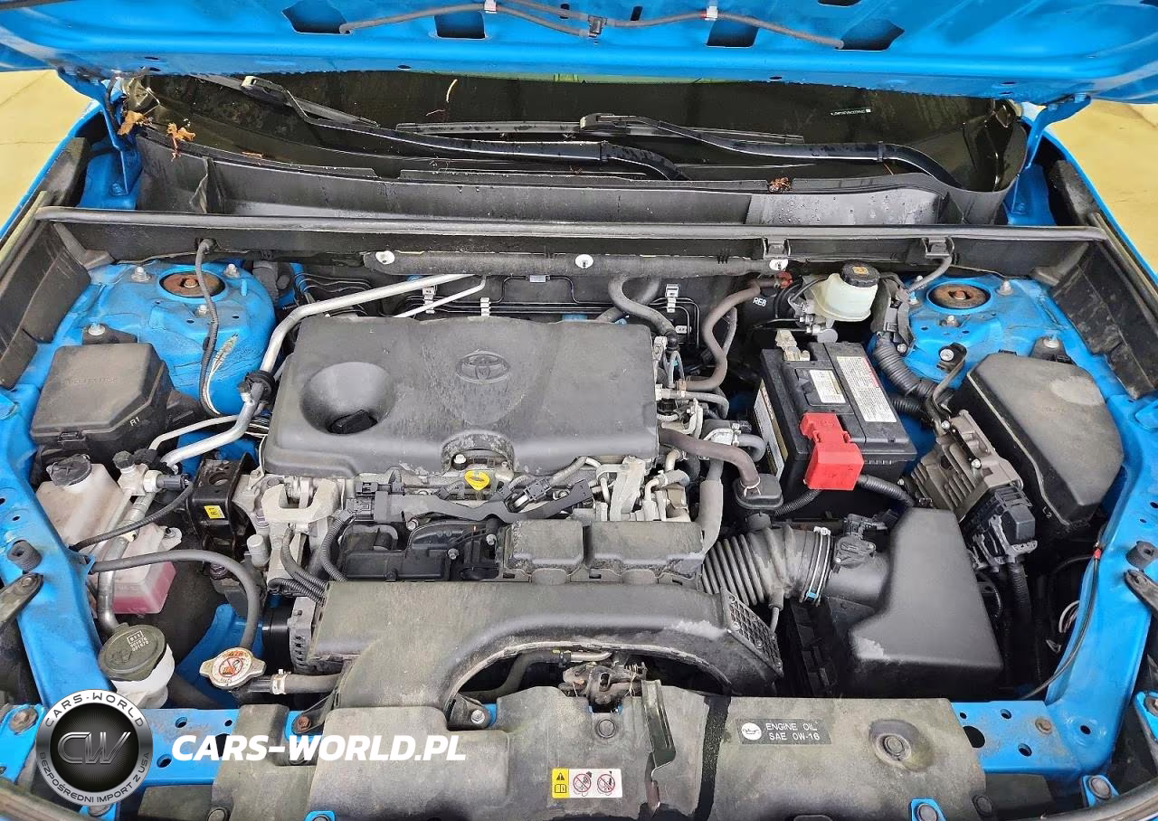 2019 Toyota Rav4 Xle VIN:JTMP1RFV5KD009940 - 11