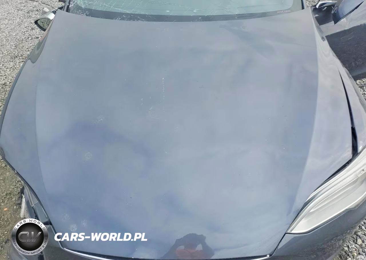 2021 Tesla Model S VIN:5YJSA1E21MF424607 - 11