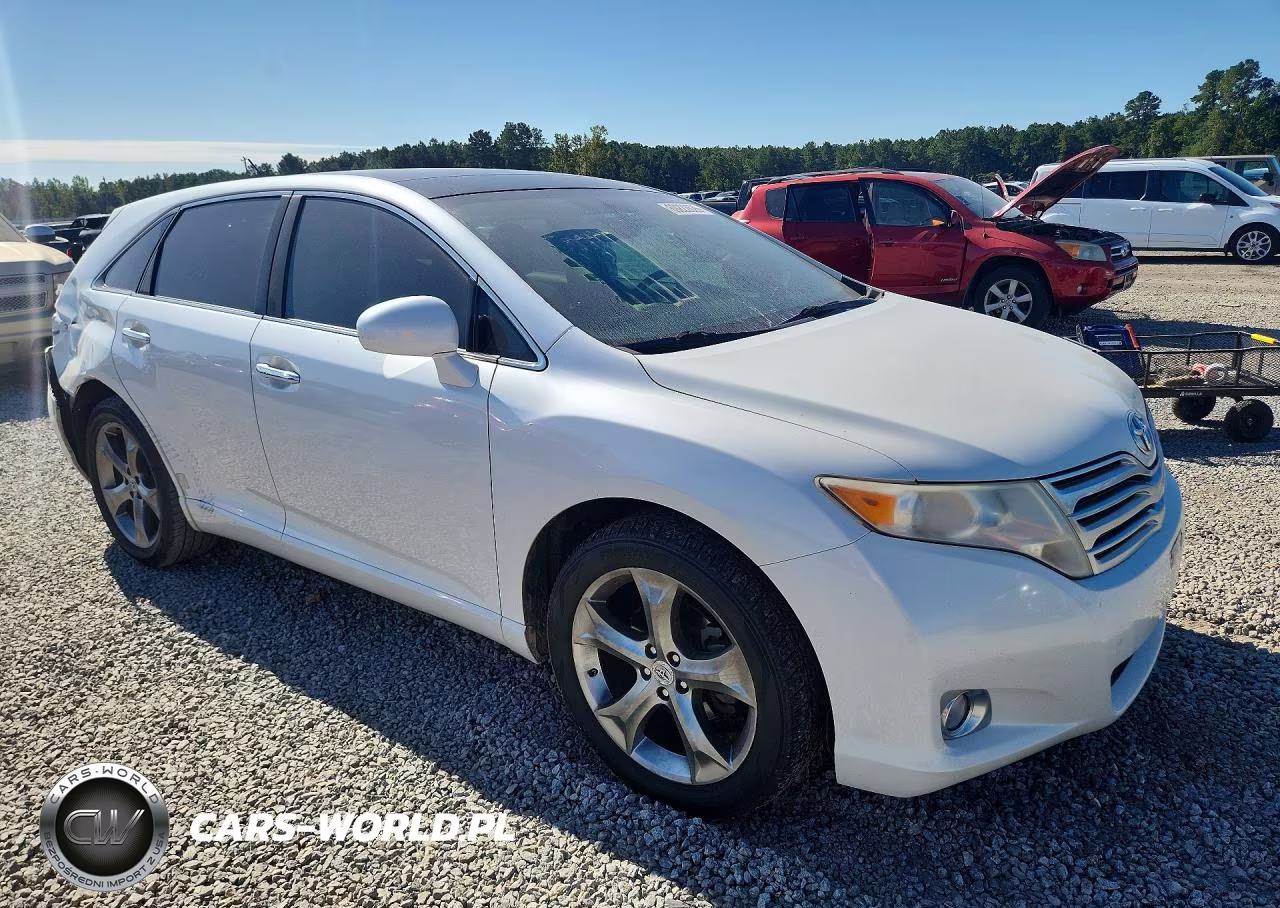 2009 Toyota Venza Awd V6 VIN:4T3BK11A19U023697 - 4