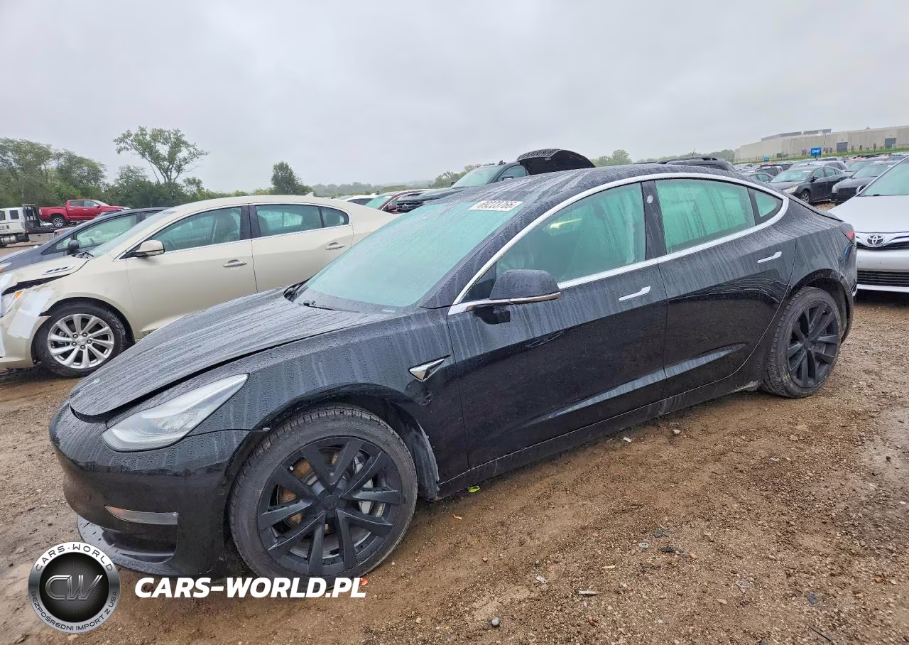 2019 Tesla Model 3