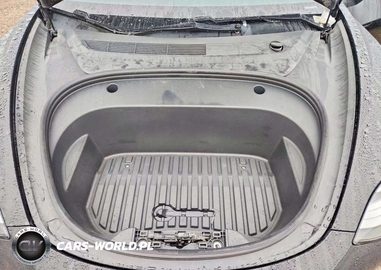 2019 Tesla Model 3 VIN:5YJ3E1EA9KF331119 - 11