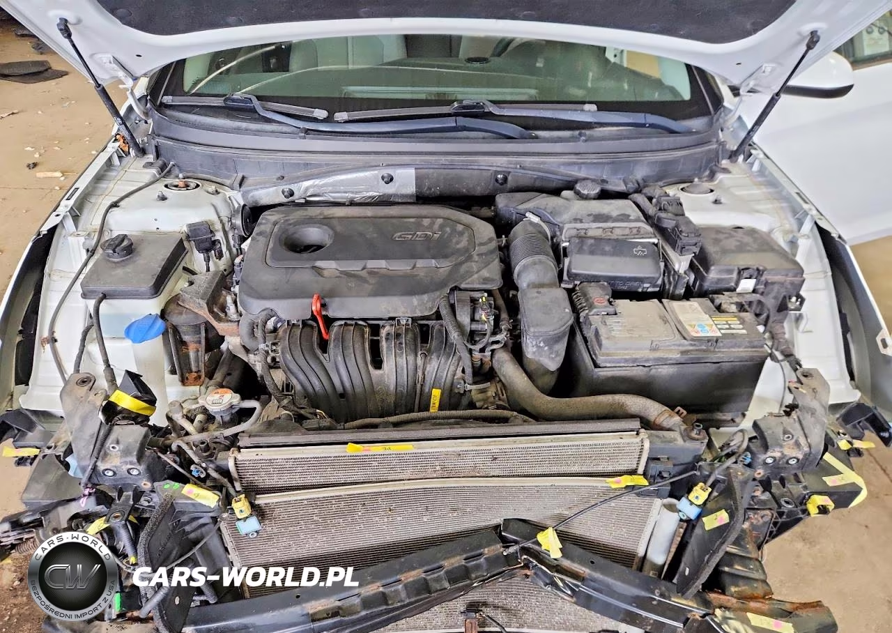 2016 Hyundai Sonata Se VIN:5NPE24AF3GH303488 - 11