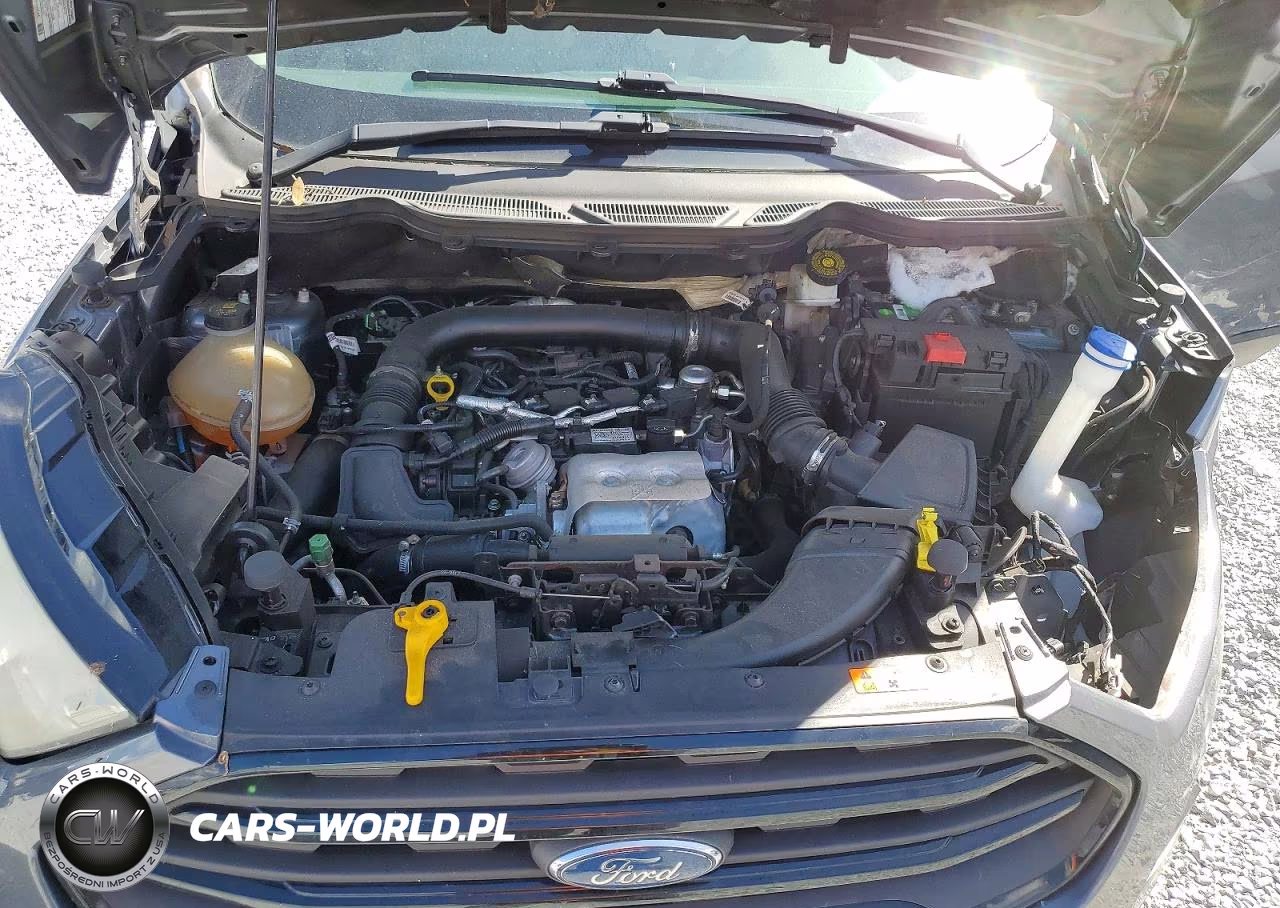 2018 Ford Ecosport S VIN:MAJ3P1RE2JC163946 - 12
