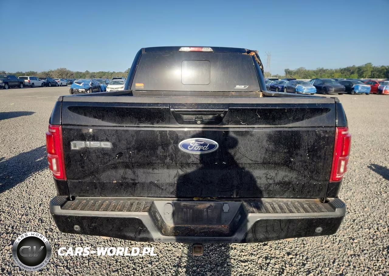 2016 Ford F150 Supercrew VIN:1FTEW1EP4GFA79292 - 6