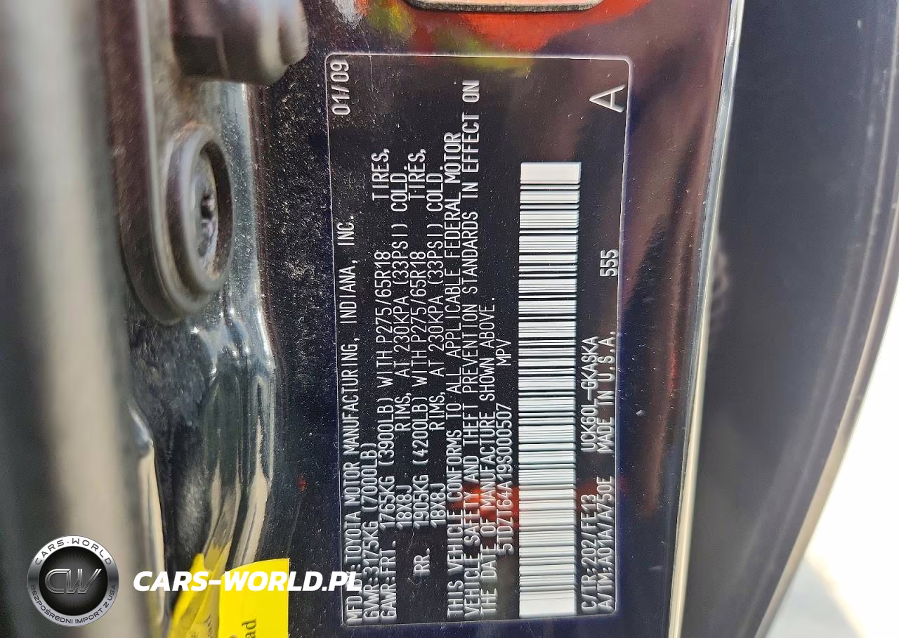2009 Toyota Sequoia Sr5 VIN:5TDZT64A19S000507 - 13