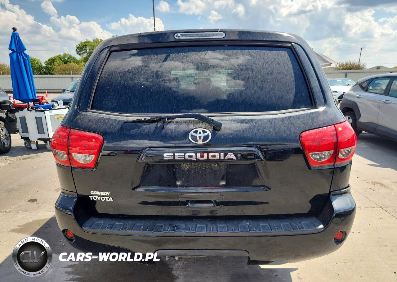 2009 Toyota Sequoia Sr5 VIN:5TDZT64A19S000507 - 6