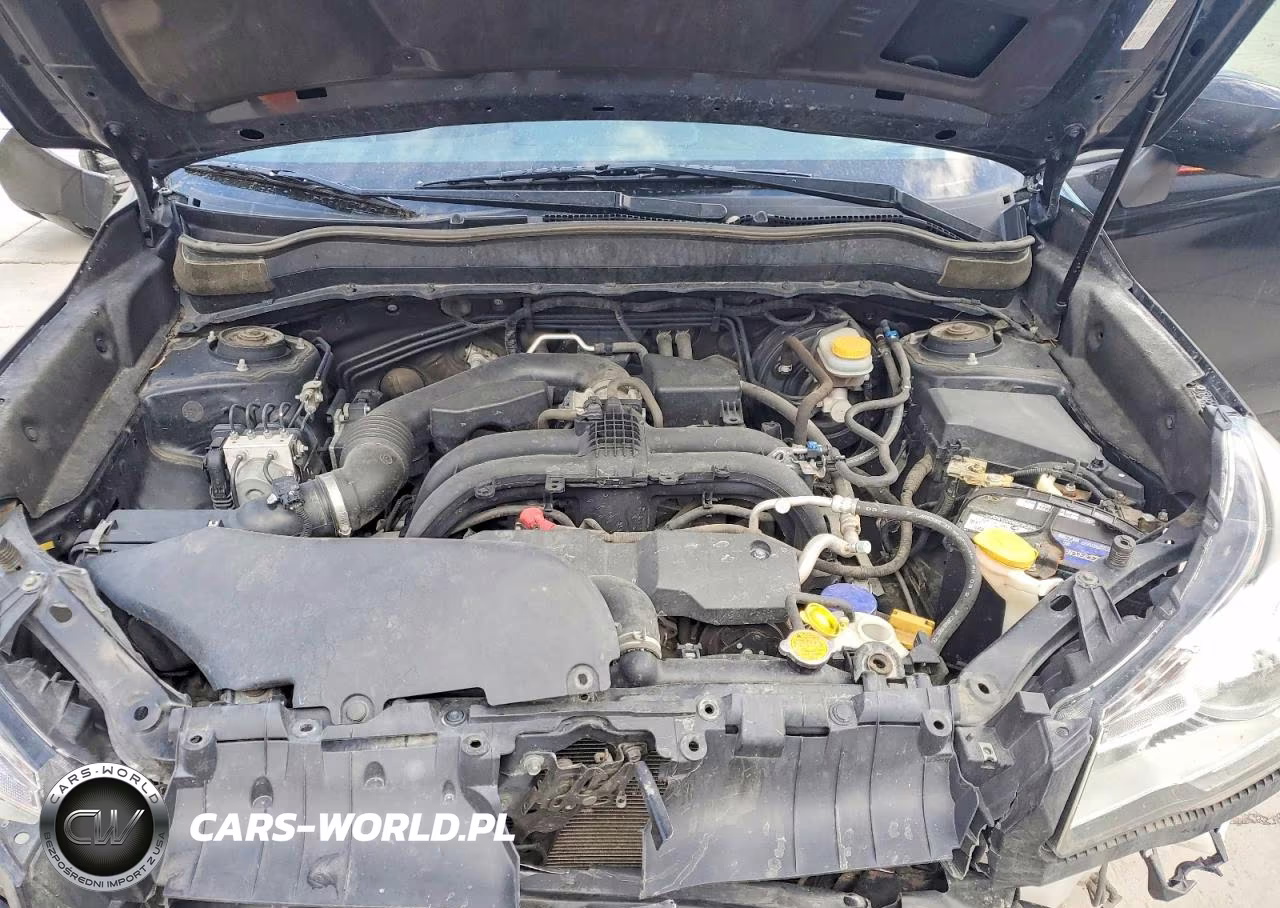 2017 Subaru Forester 2.5I Premium VIN:JF2SJAEC5HH521843 - 12