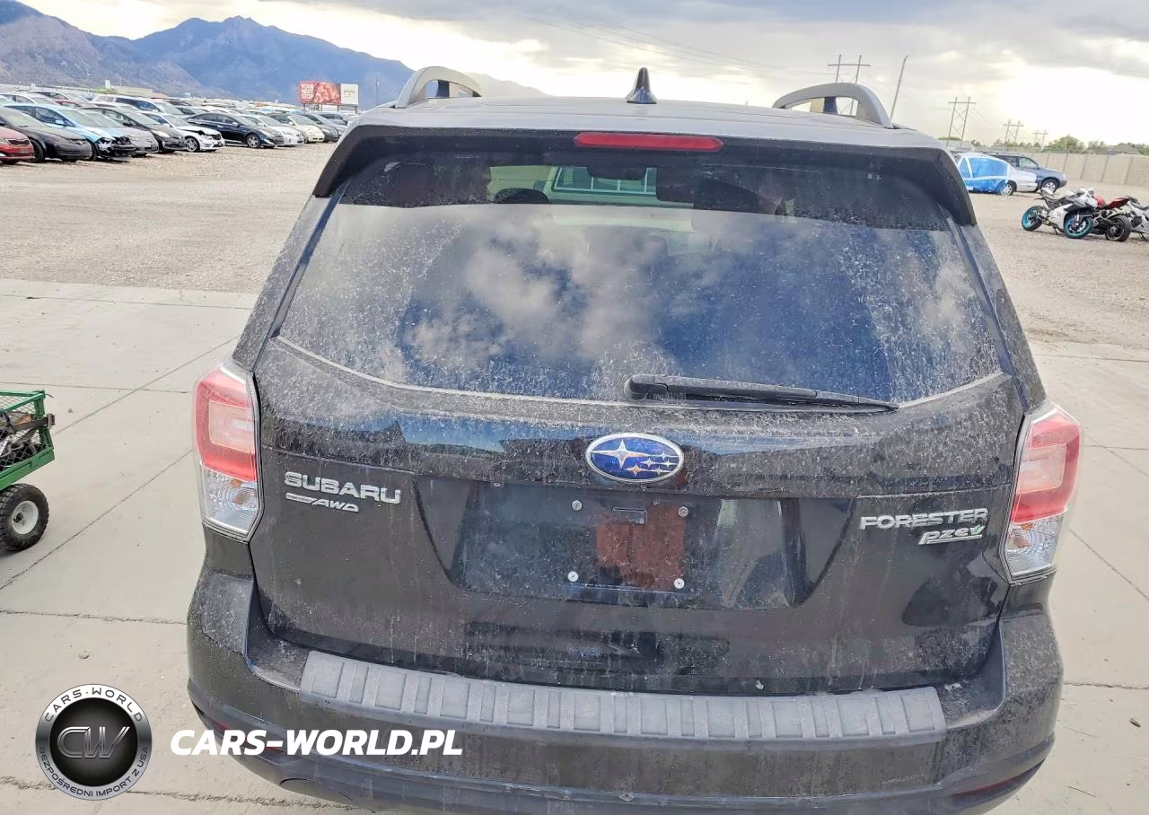 2017 Subaru Forester 2.5I Premium VIN:JF2SJAEC5HH521843 - 6