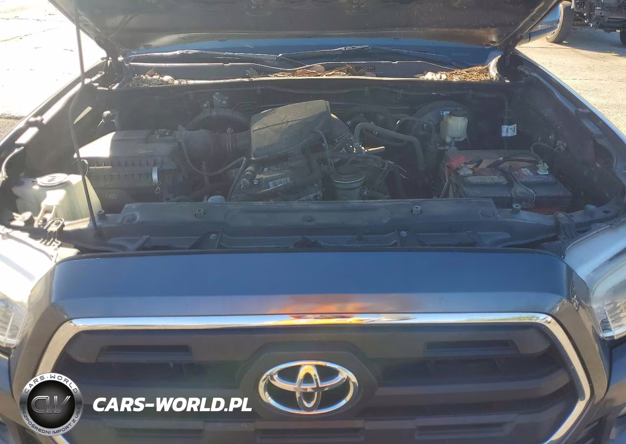 2017 Toyota Tacoma Sr5 VIN:5TFAX5GN7HX084075 - 11
