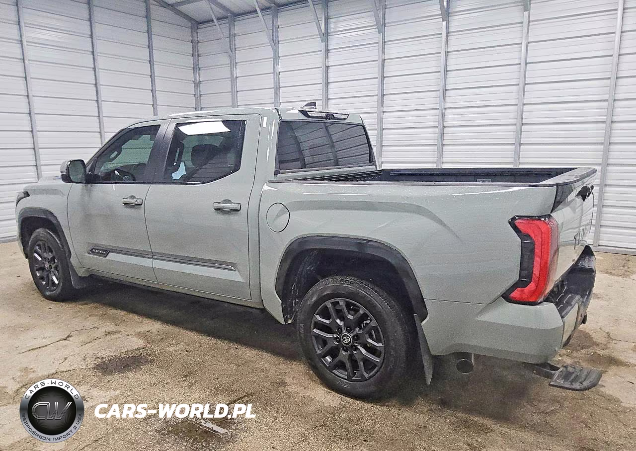 2025 Toyota Tundra Platinum Hv VIN:5TFNC5DB9SX110786 - 2