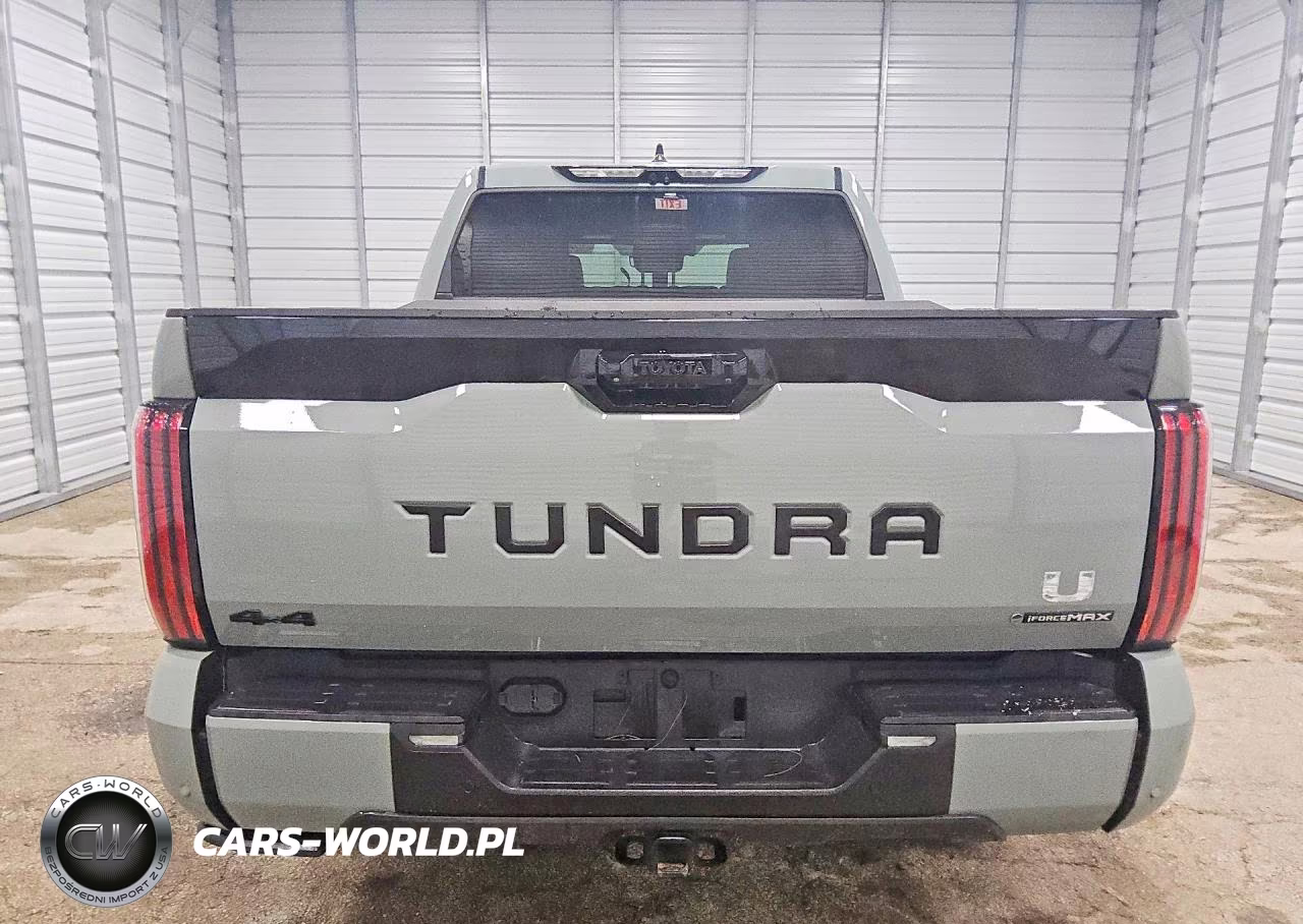 2025 Toyota Tundra Platinum Hv VIN:5TFNC5DB9SX110786 - 6