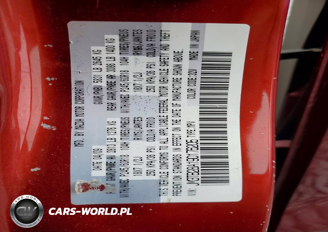 MAZDA CX-9 VIN:JM3TB28A190176205 - 13