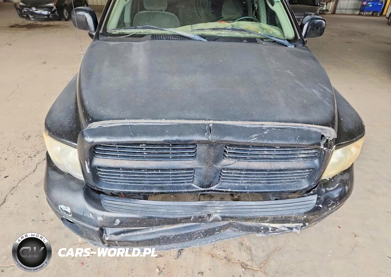 2002 Dodge Ram 1500 VIN:1D7HA18Z82J254969 - 11