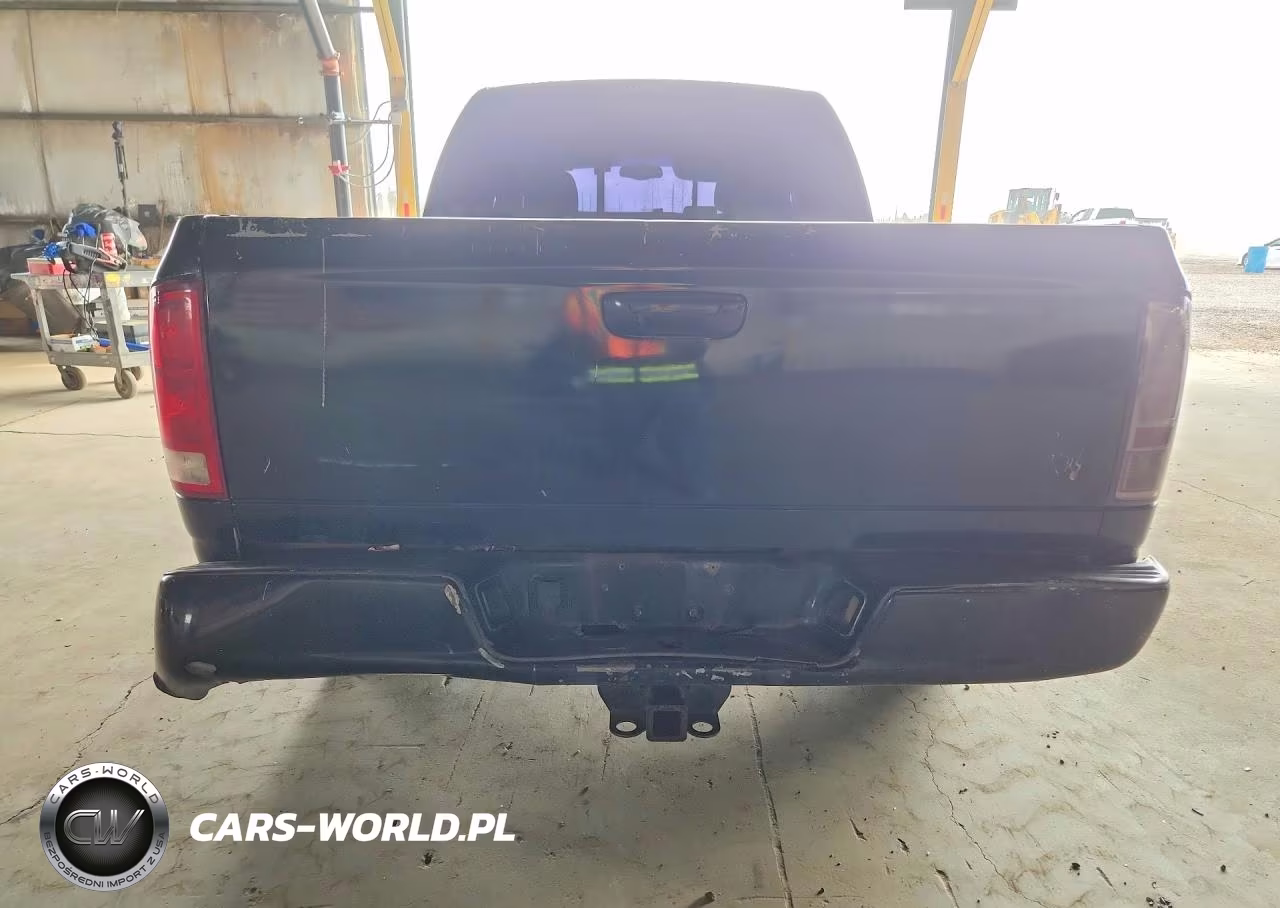 2002 Dodge Ram 1500 VIN:1D7HA18Z82J254969 - 6