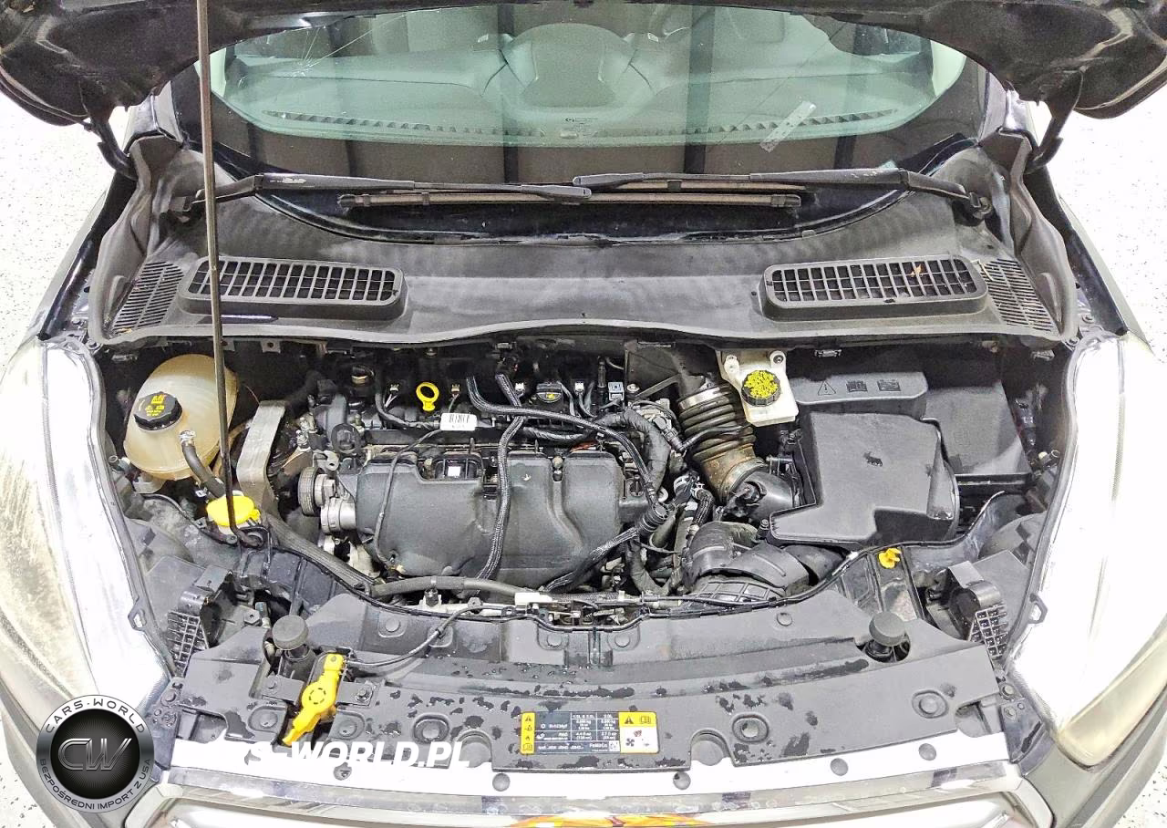 2017 Ford Escape Se VIN:1FMCU0G96HUC96566 - 11