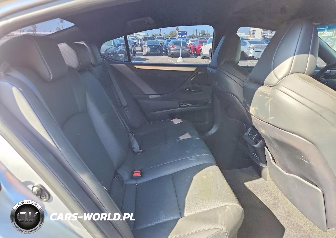 2024 Lexus Es 300H F Sport Handling VIN:58ABA1C16RU037340 - 10