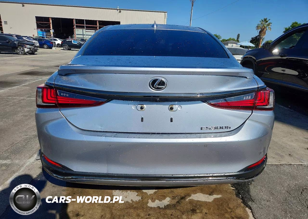 2024 Lexus Es 300H F Sport Handling VIN:58ABA1C16RU037340 - 6