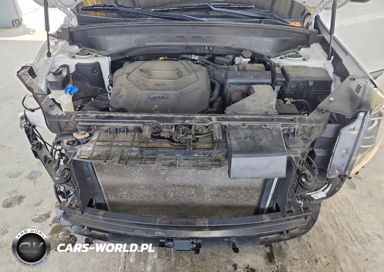 2020 Kia Telluride S VIN:5XYP6DHC6LG062486 - 11