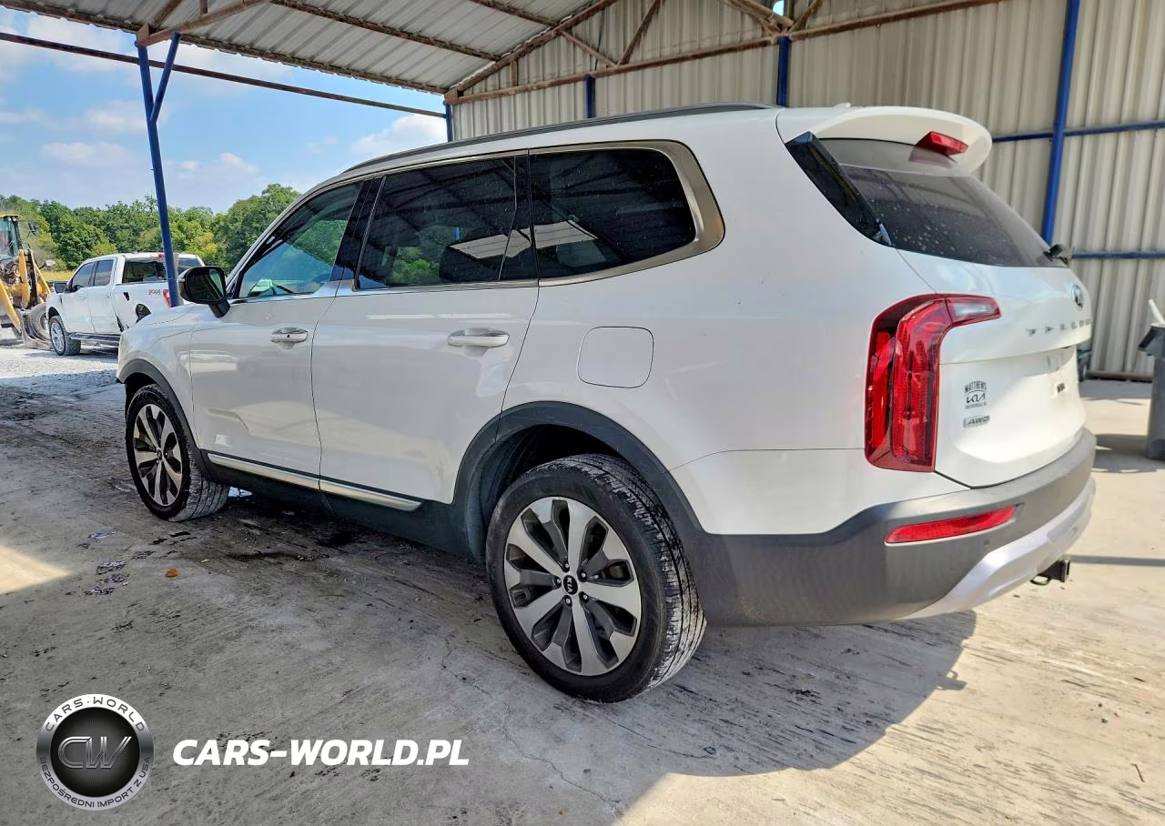 2020 Kia Telluride S VIN:5XYP6DHC6LG062486 - 2