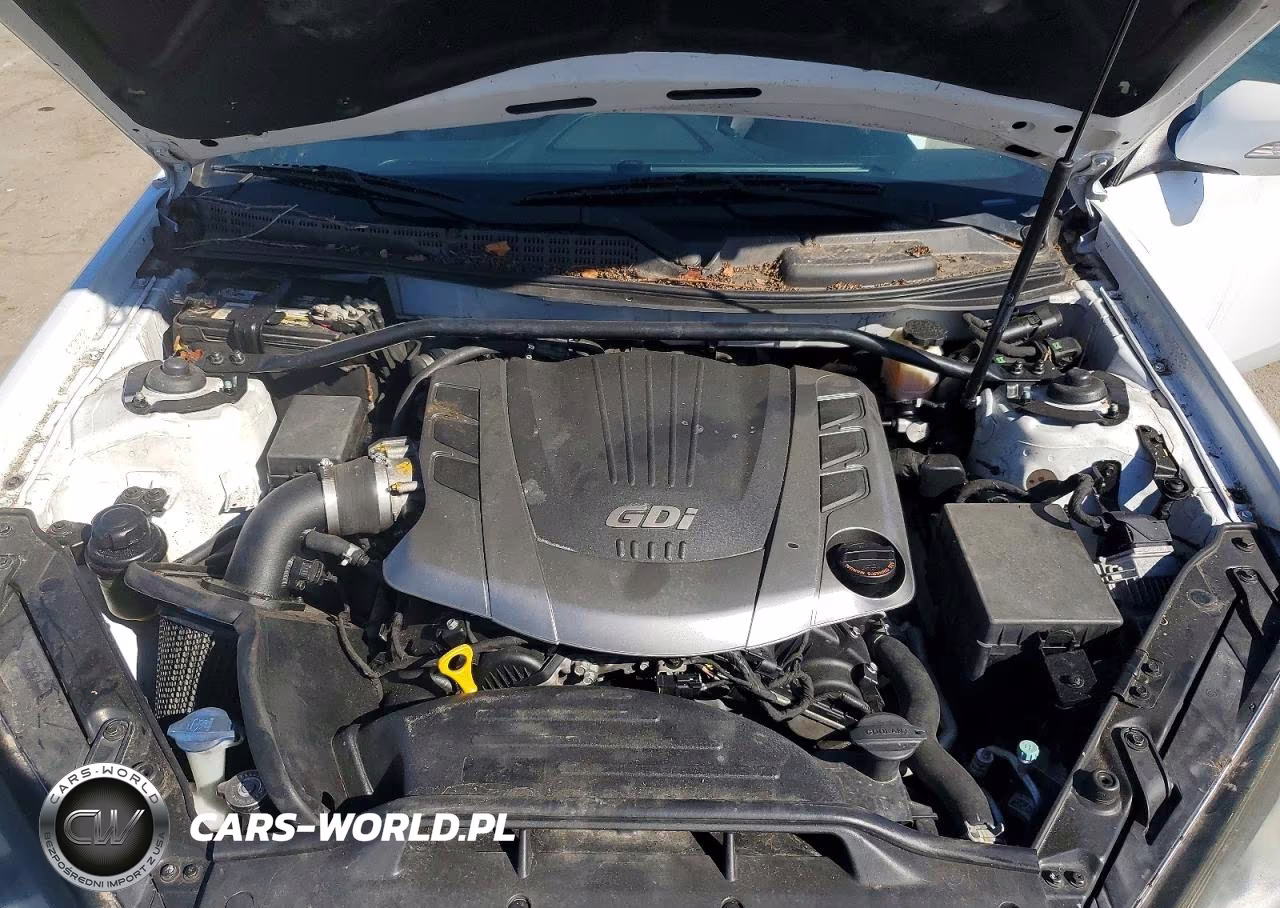 2015 Hyundai Genesis 3.8 Ultimate VIN:KMHHU6KJ4FU125774 - 11