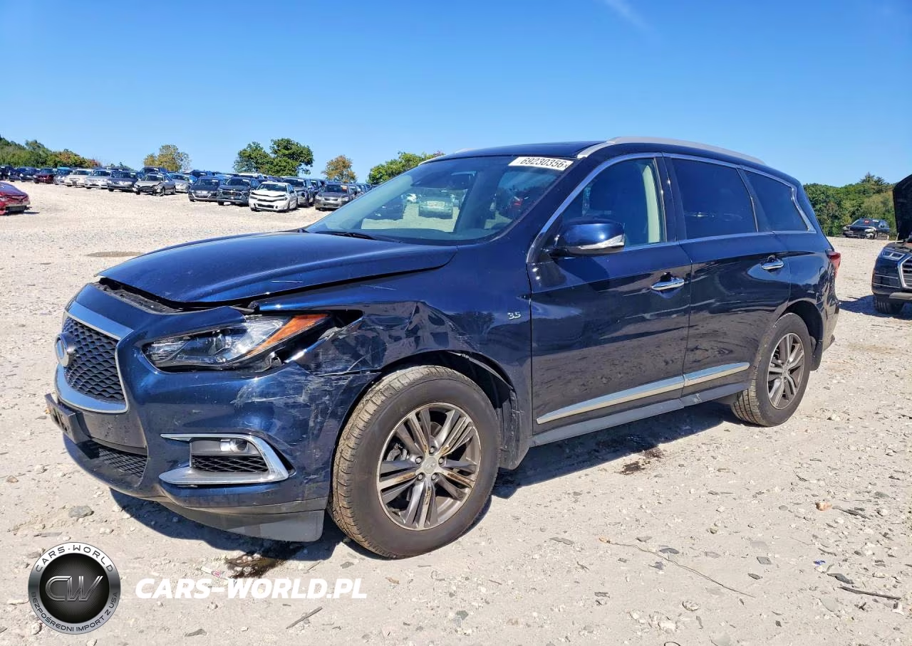 2020 Infiniti Qx60 Luxe VIN:5N1DL0MMXLC500395 - 1