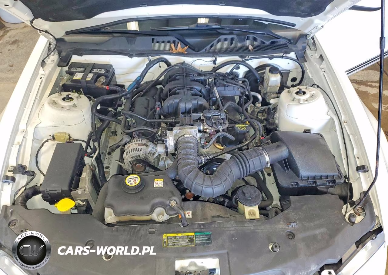 2010 Ford Mustang VIN:1ZVBP8ENXA5119487 - 11