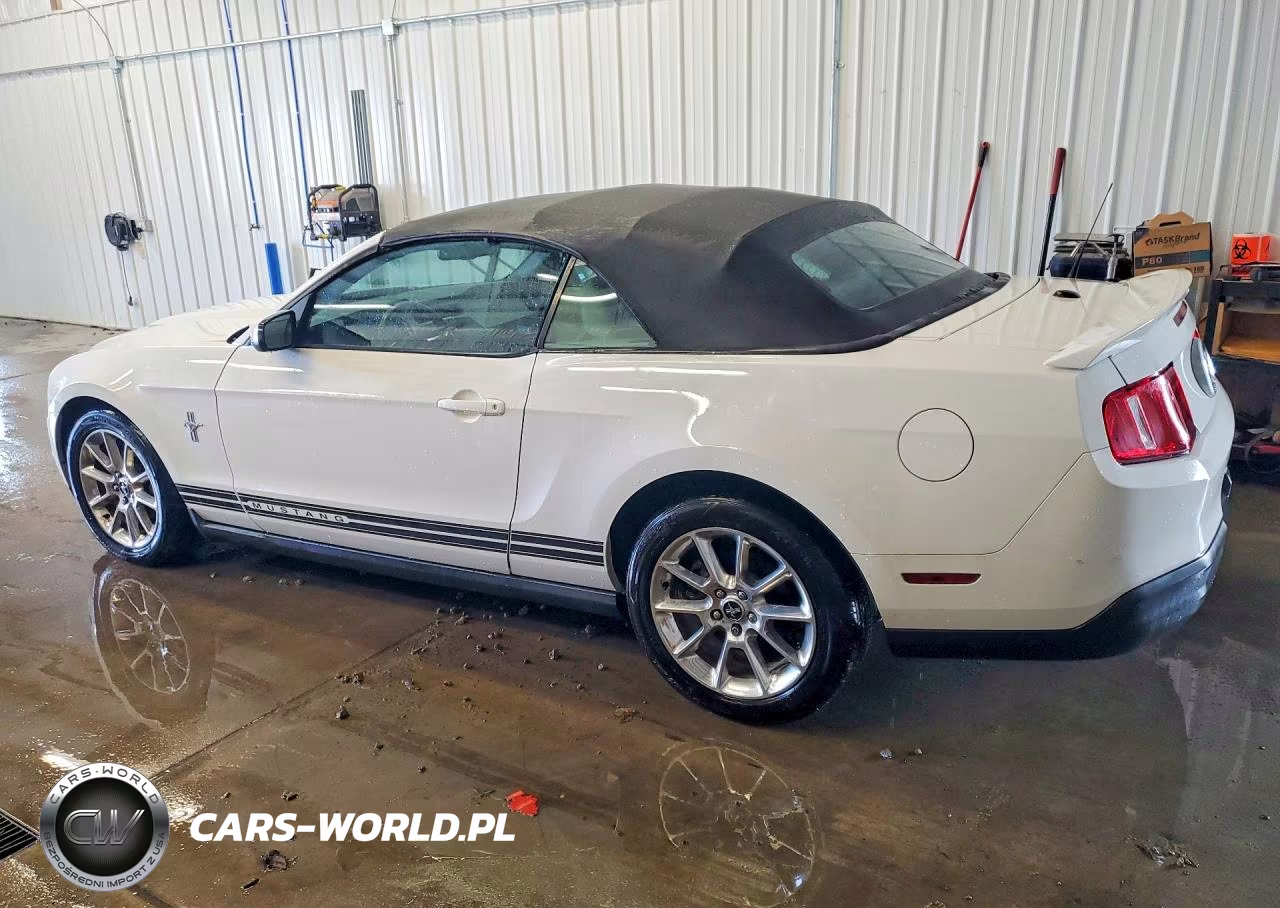 2010 Ford Mustang VIN:1ZVBP8ENXA5119487 - 2
