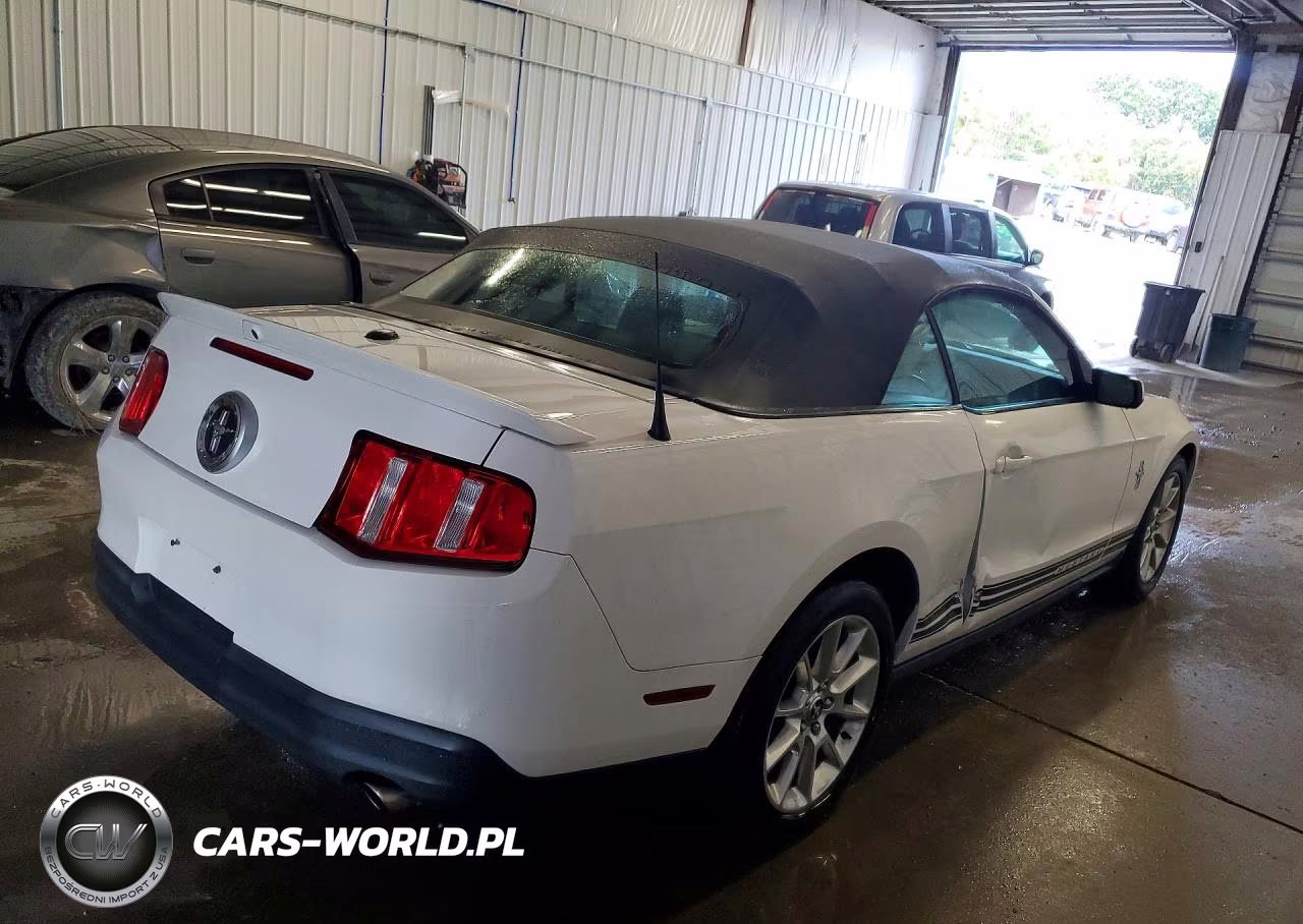 2010 Ford Mustang VIN:1ZVBP8ENXA5119487 - 3