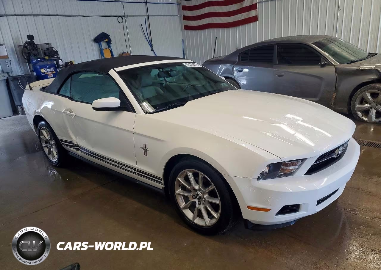 2010 Ford Mustang VIN:1ZVBP8ENXA5119487 - 4