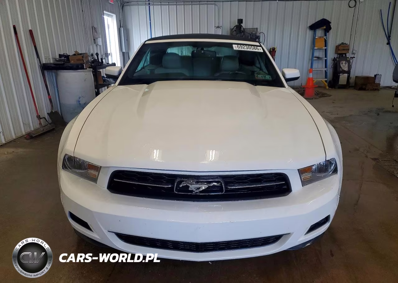 2010 Ford Mustang VIN:1ZVBP8ENXA5119487 - 5