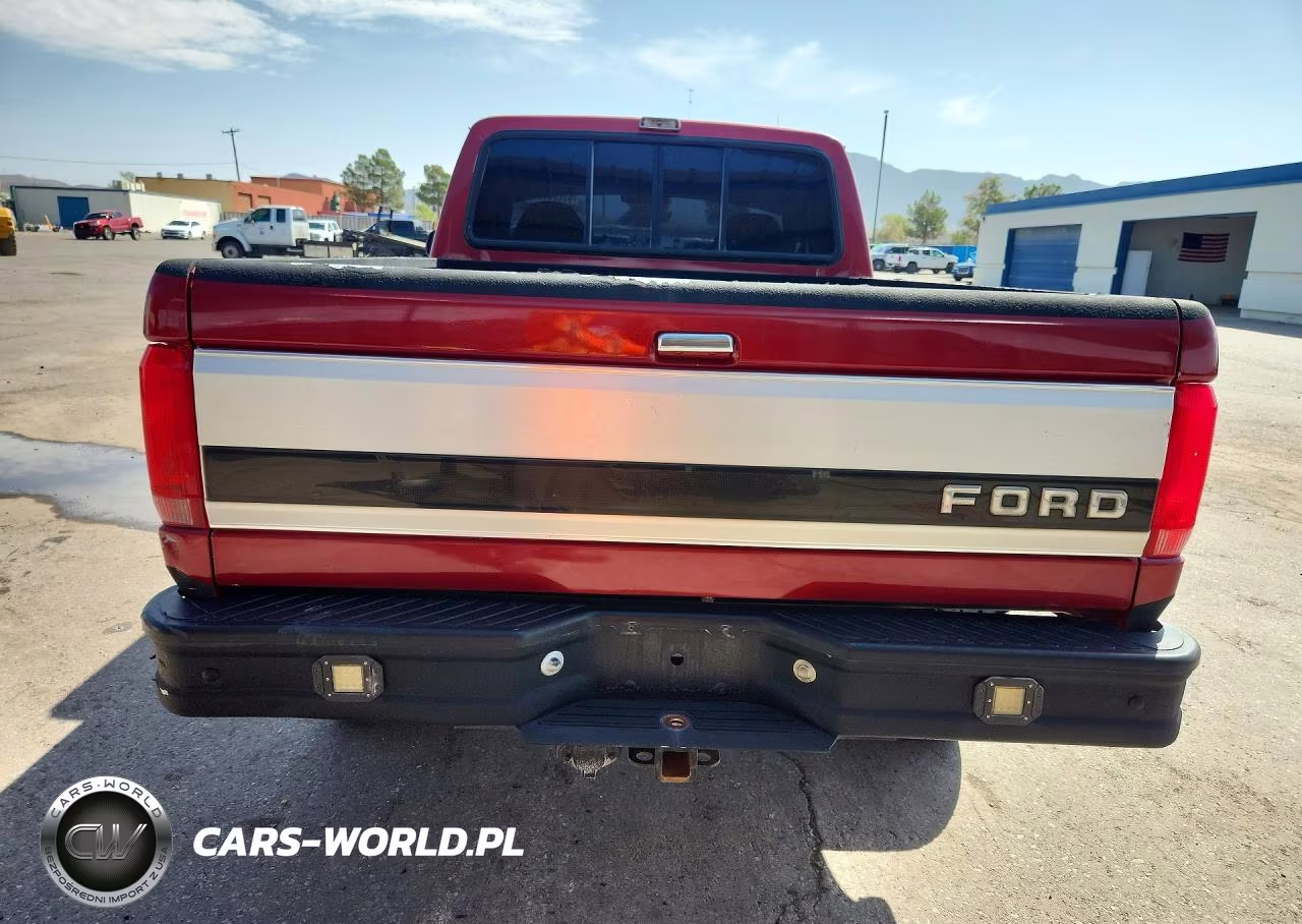 1993 Ford F150 VIN:1FTEX14H0PKB43486 - 6