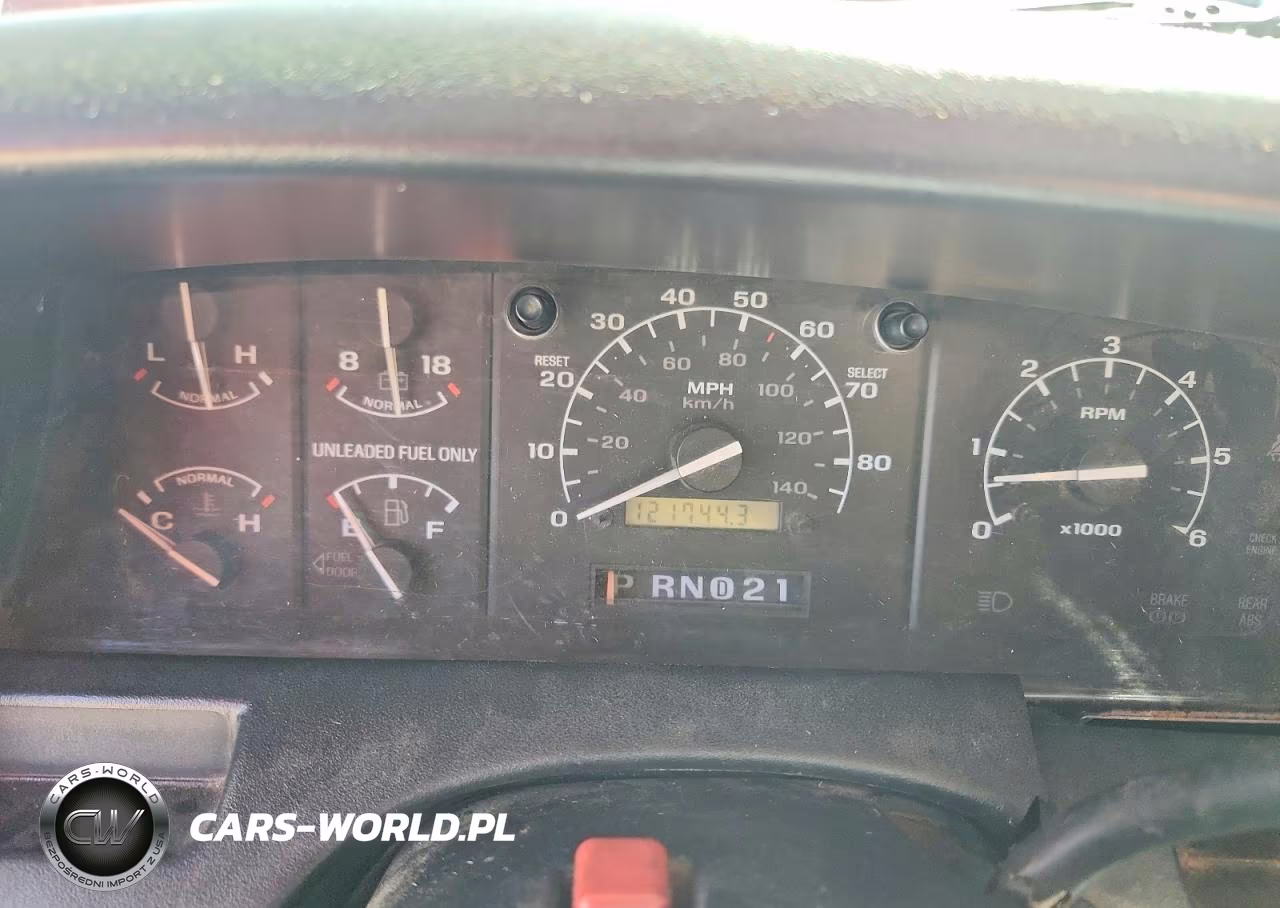 1993 Ford F150 VIN:1FTEX14H0PKB43486 - 9