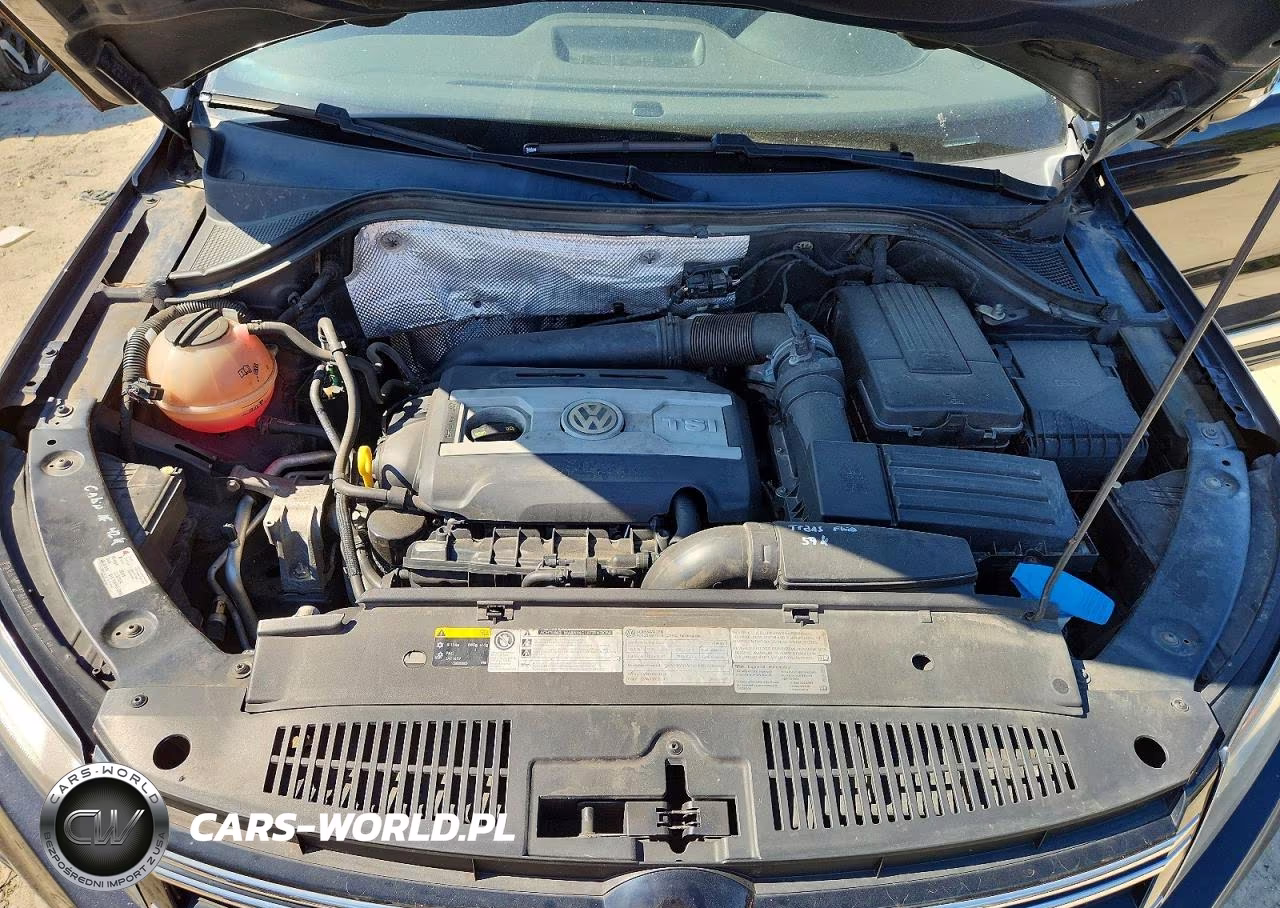 2014 Volkswagen Tiguan S VIN:WVGBV3AX0EW109422 - 12