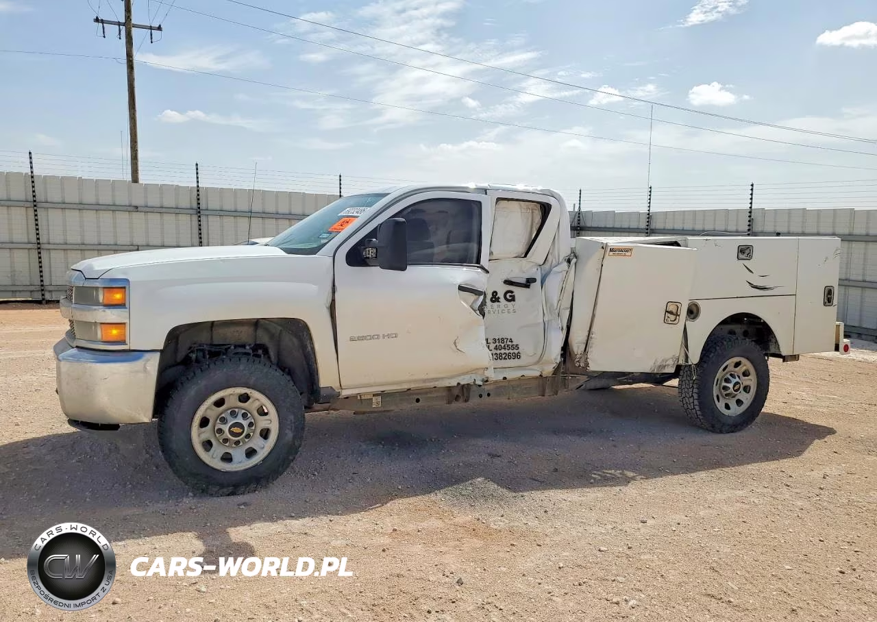 2019 Chevrolet Silverado K2500 Heavy Duty VIN:2GB2KREG0K1189726 - 1