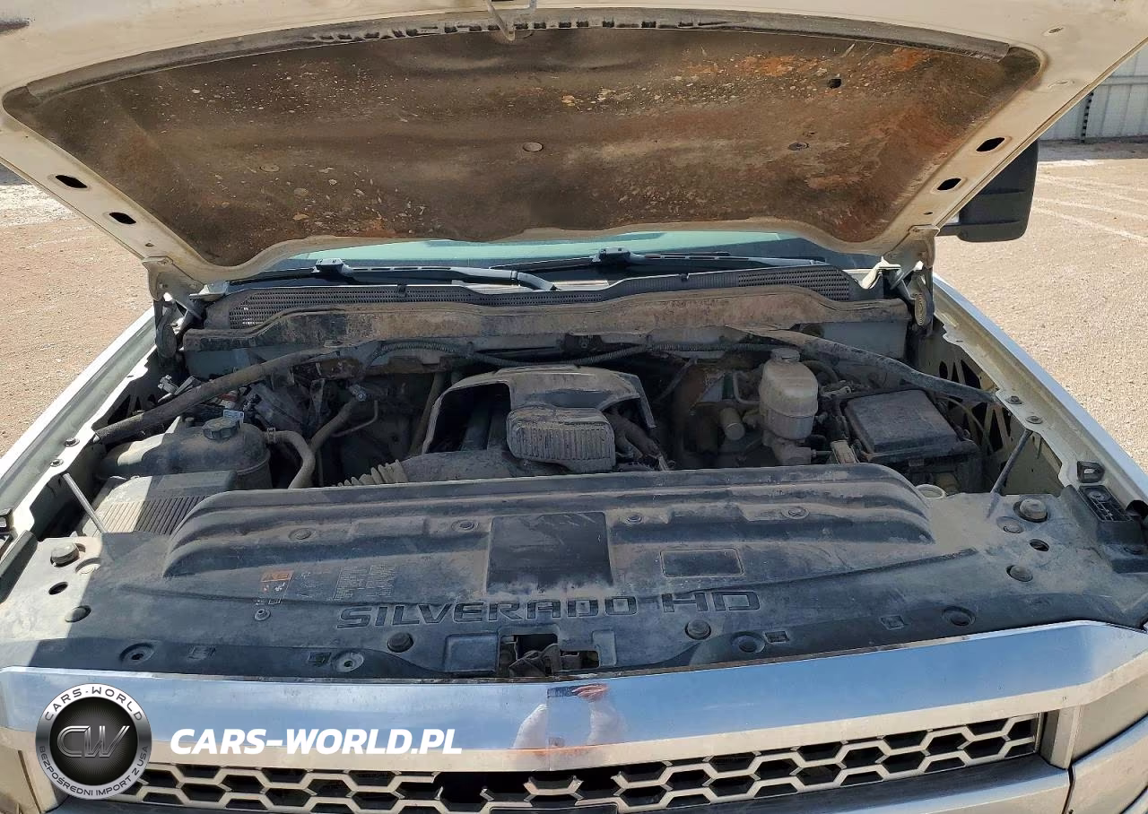 2019 Chevrolet Silverado K2500 Heavy Duty VIN:2GB2KREG0K1189726 - 11