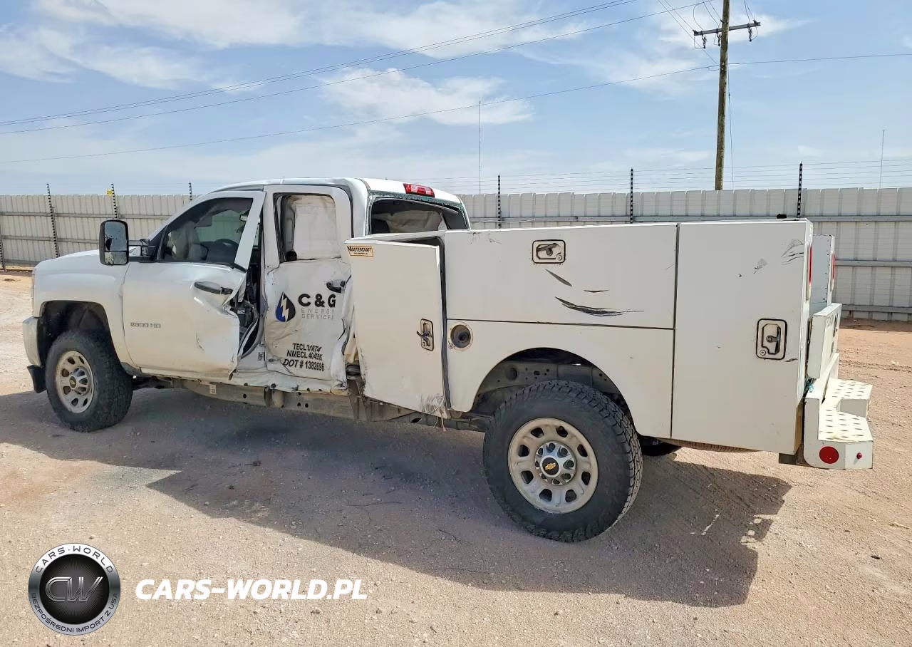 2019 Chevrolet Silverado K2500 Heavy Duty VIN:2GB2KREG0K1189726 - 2
